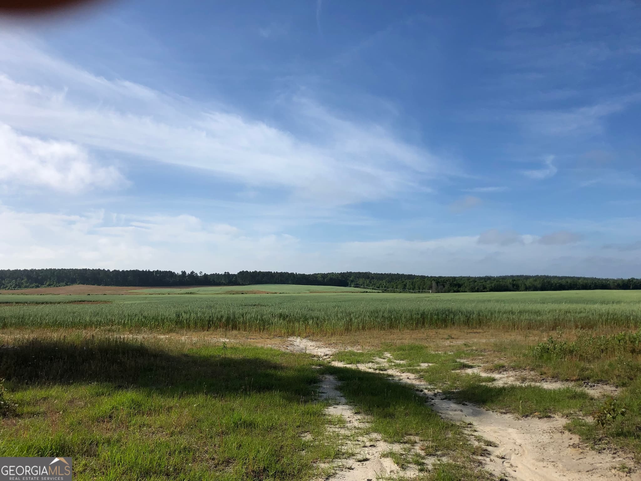 agriculture under contract at 0 Hwy 257, Chester, GA 31012 — photo 6