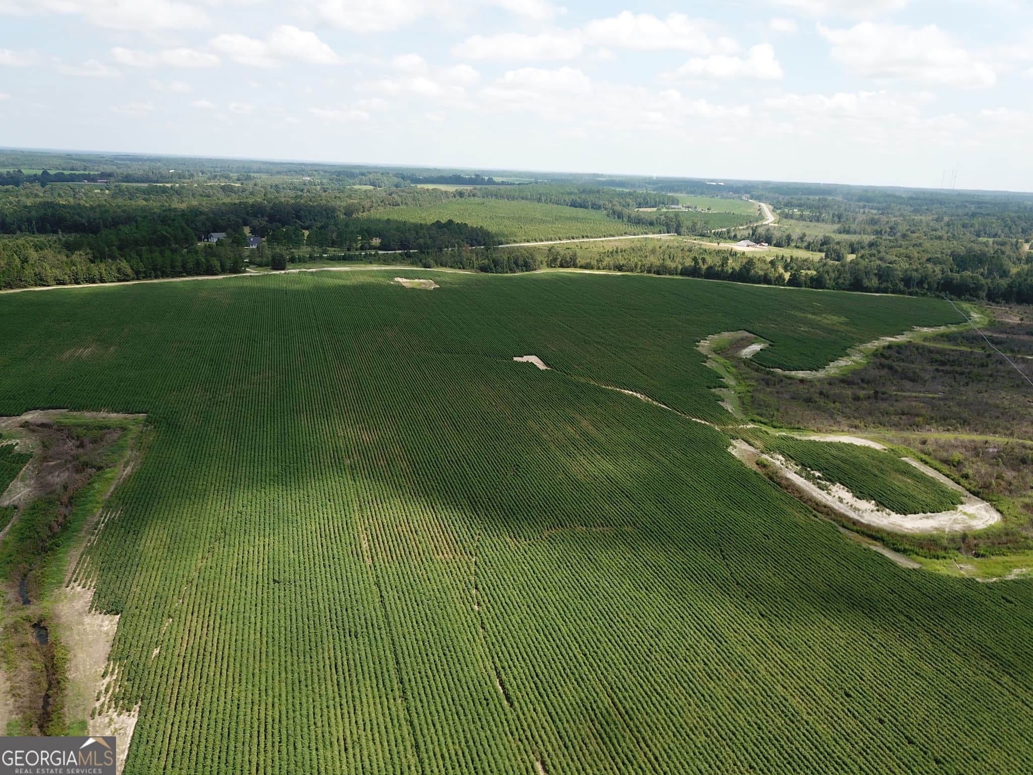 agriculture under contract at 0 Hwy 257, Chester, GA 31012 — photo 7