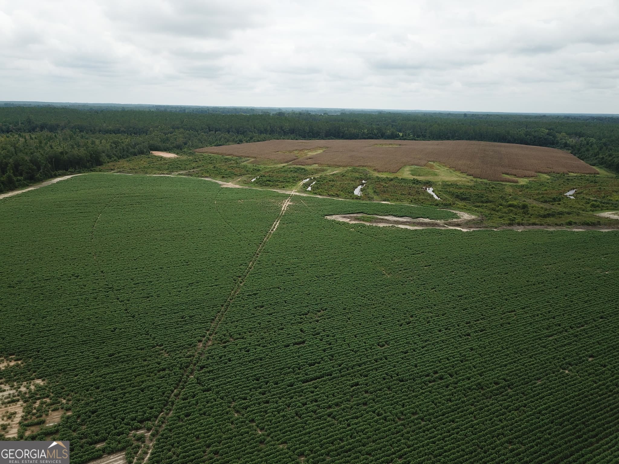 agriculture under contract at 0 Hwy 257, Chester, GA 31012 — photo 3