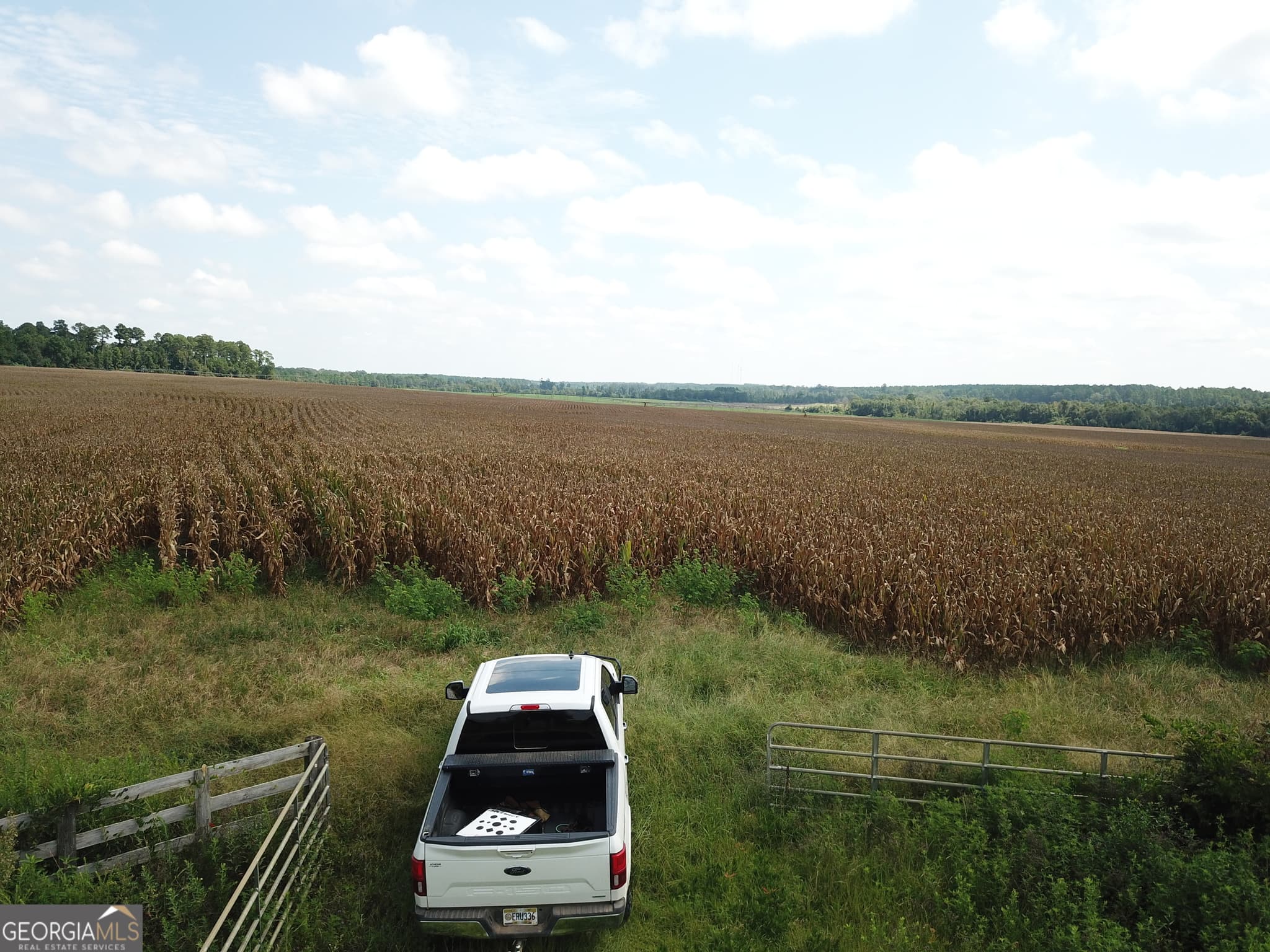 agriculture under contract at 0 Hwy 257, Chester, GA 31012 — photo 5