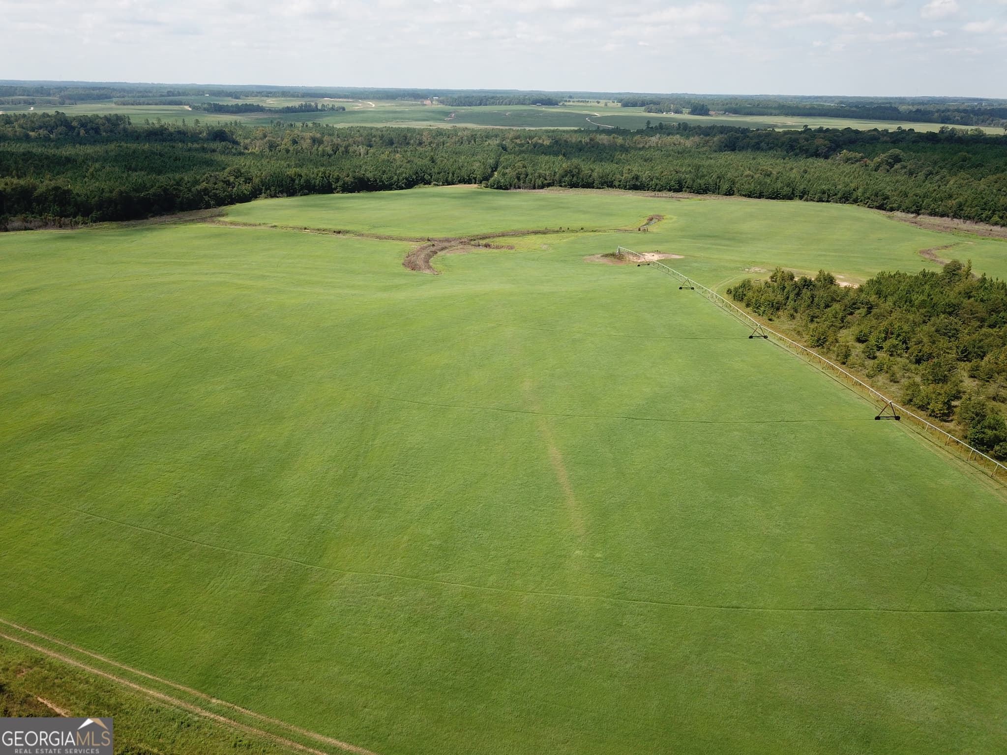 agriculture under contract at 0 Hwy 257, Chester, GA 31012 — photo 9