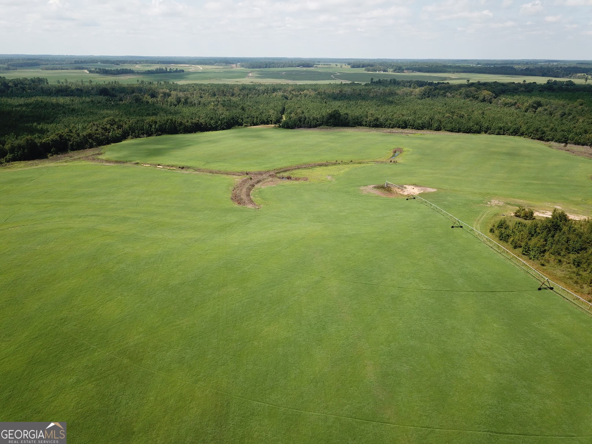 agriculture under contract at 0 Hwy 257, Chester, GA 31012 — photo 10