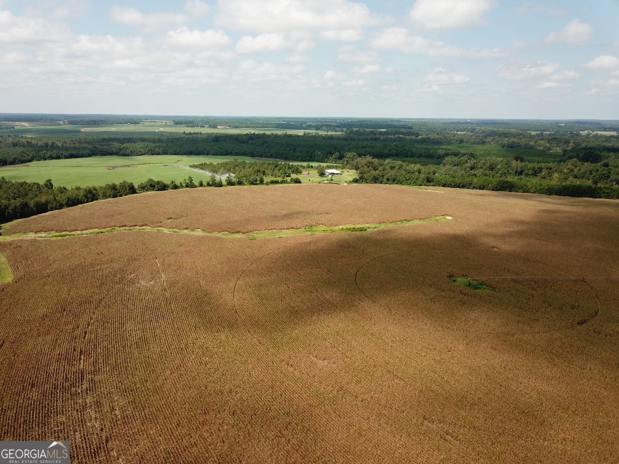 agriculture under contract at 0 Hwy 257, Chester, GA 31012 — photo 8