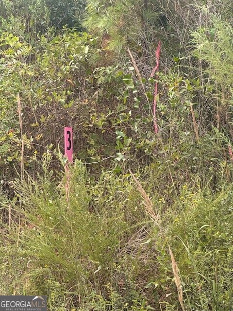 agriculture for sale at 0 Cook Road TRACT #3, Monticello, GA 31064 — photo 2