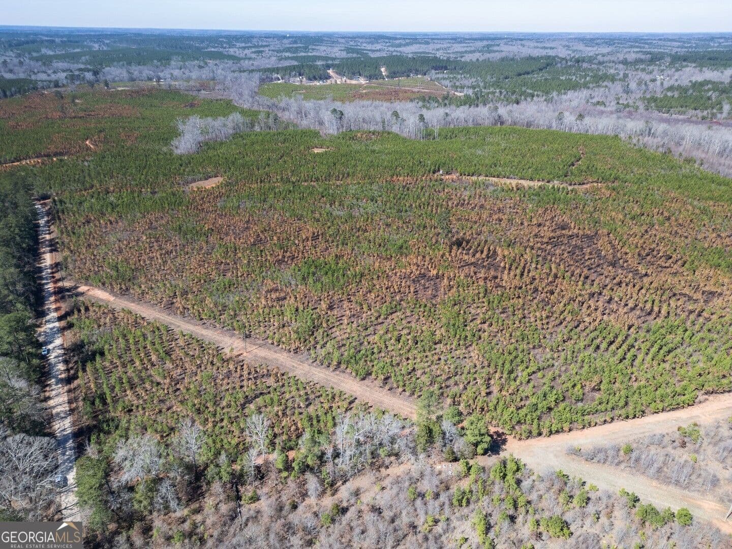 agriculture for sale at 0 Cook Road TRACT #3, Monticello, GA 31064 — photo 6