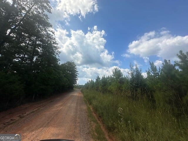 agriculture for sale at 0 Cook Road TRACT #3, Monticello, GA 31064 — photo 3