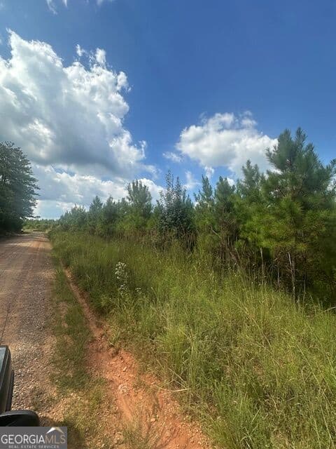 agriculture for sale at 0 Cook Road TRACT #3, Monticello, GA 31064