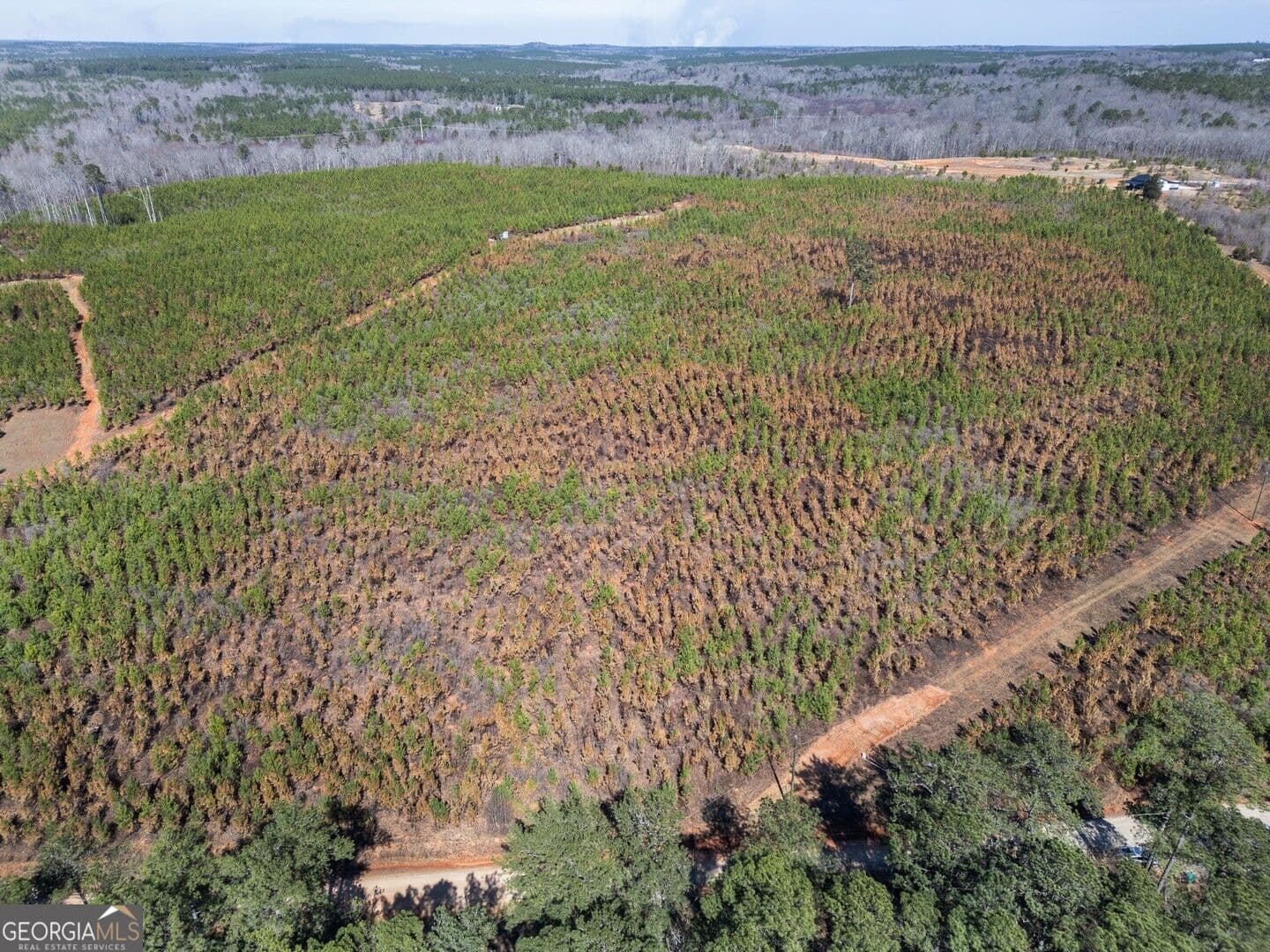 agriculture for sale at 0 Cook Road TRACT #3, Monticello, GA 31064 — photo 10