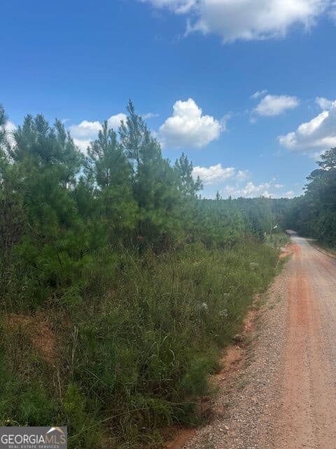 agriculture for sale at 0 Cook Road TRACT #3, Monticello, GA 31064 — photo 4