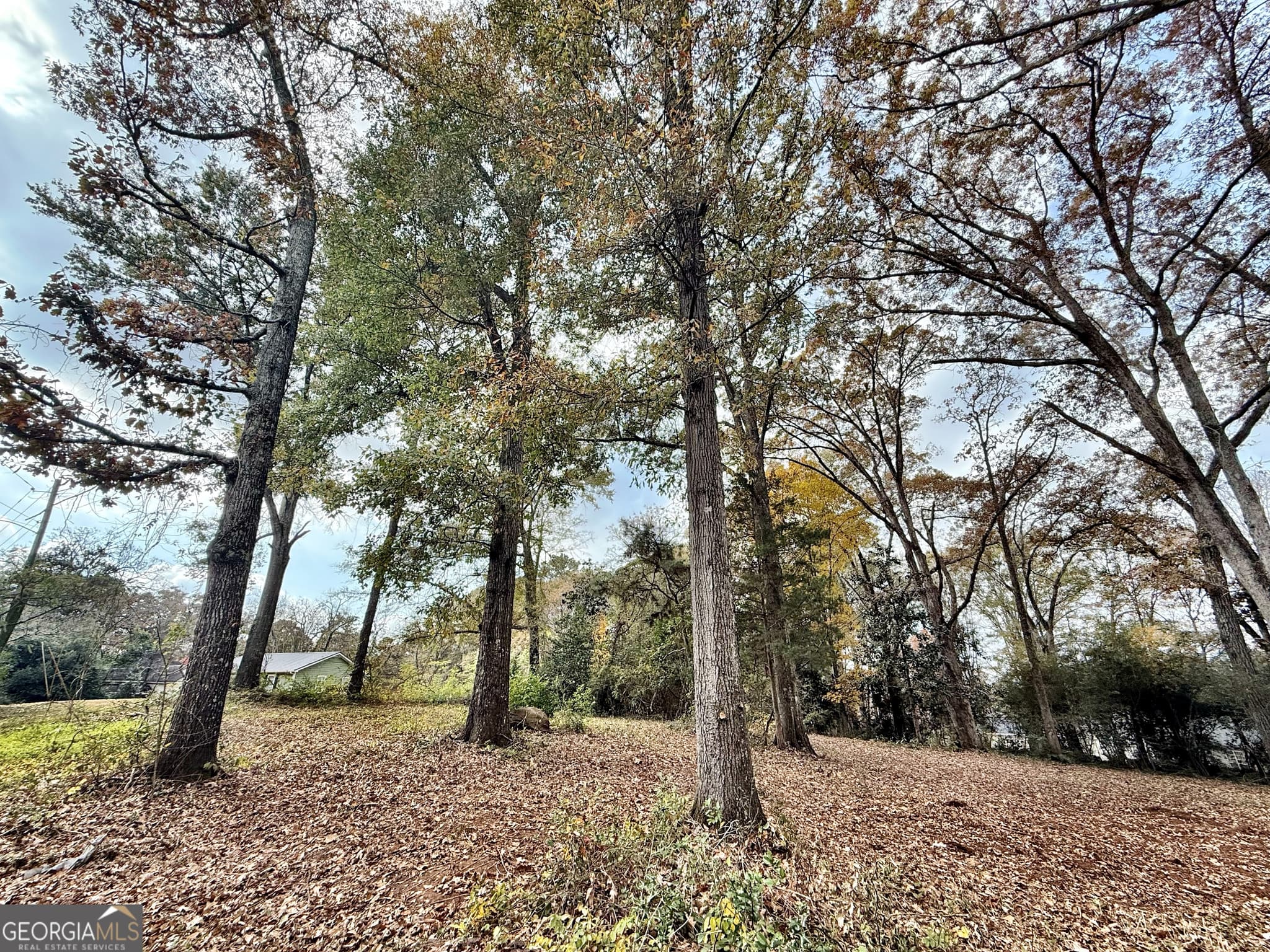 residential lot for sale at 0 S Lee Street, Forsyth, GA 31029 — photo 2