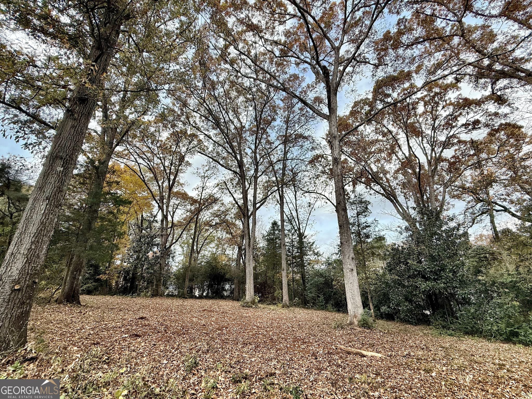 residential lot for sale at 0 S Lee Street, Forsyth, GA 31029 — photo 3
