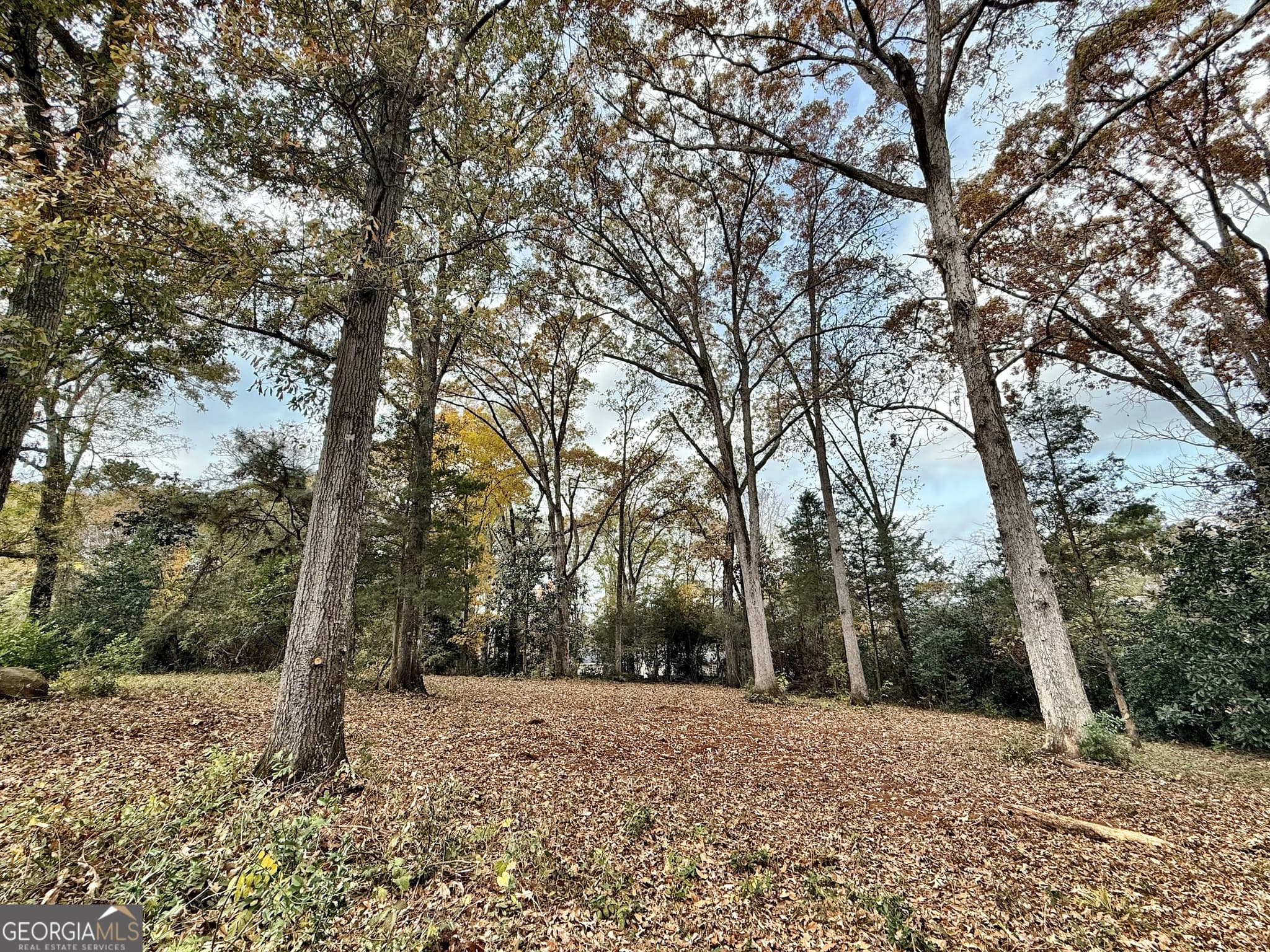 residential lot for sale at 0 S Lee Street, Forsyth, GA 31029 — photo 1 of 5