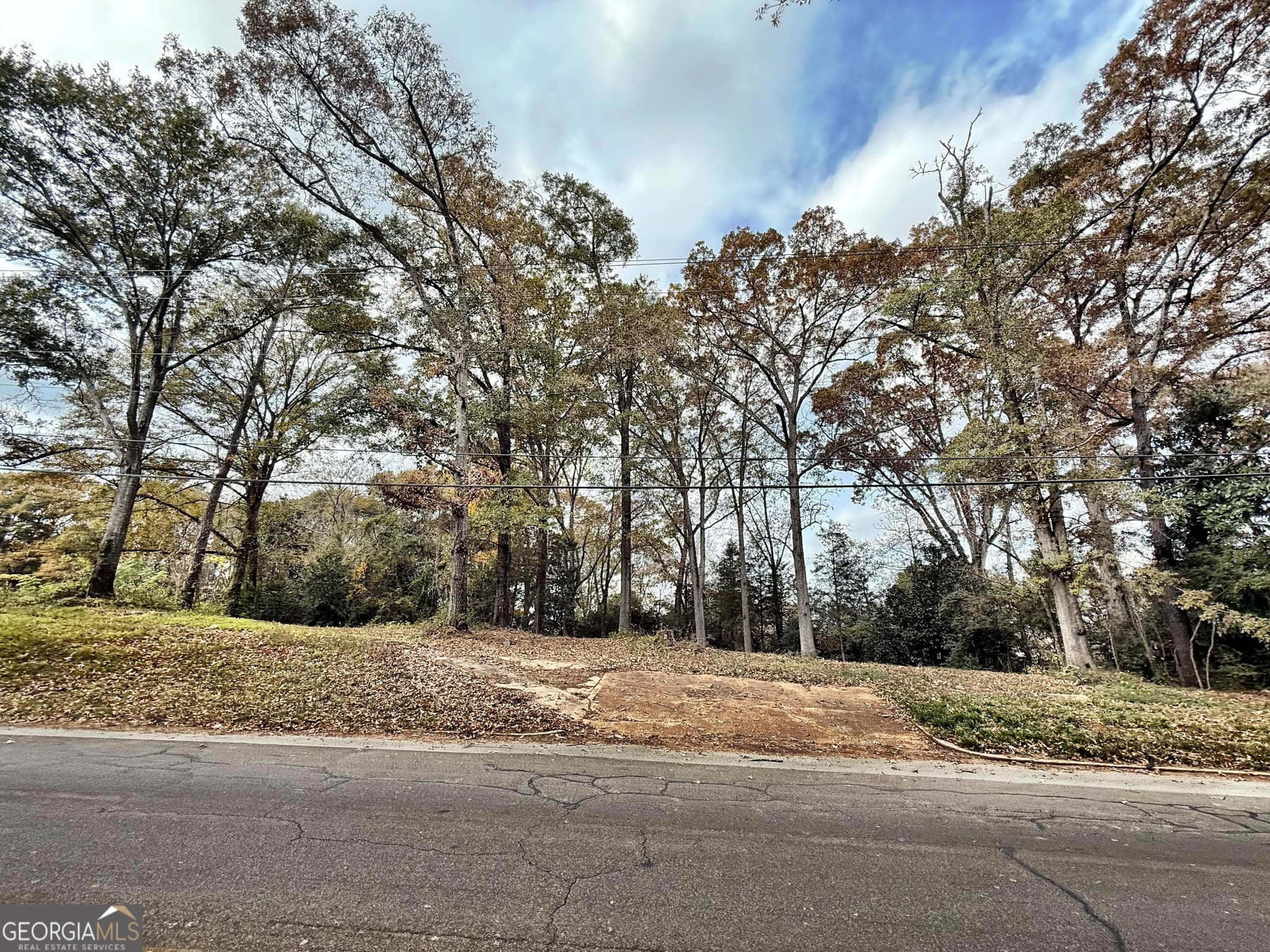residential lot for sale at 0 S Lee Street, Forsyth, GA 31029 — photo 5