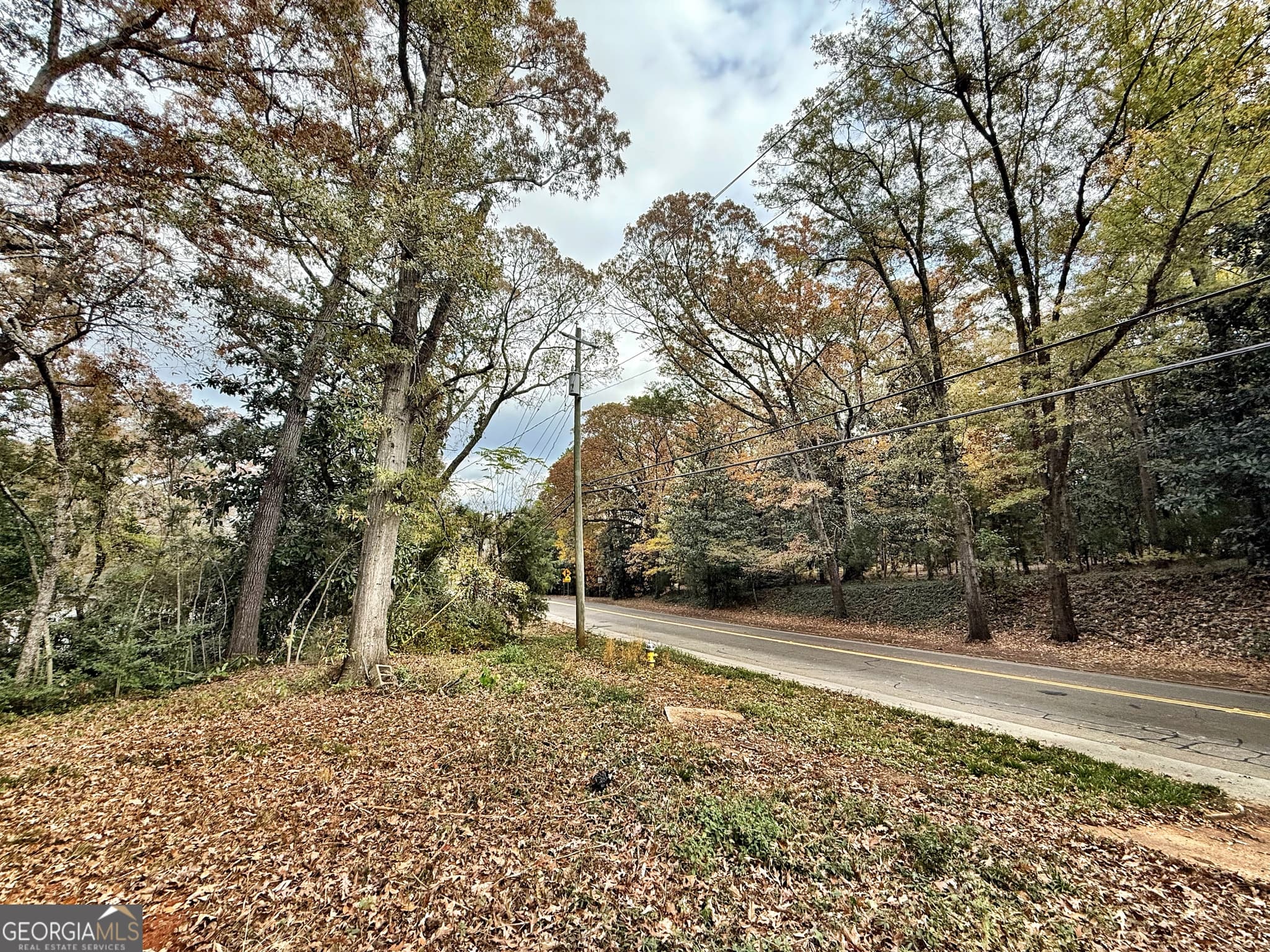 residential lot for sale at 0 S Lee Street, Forsyth, GA 31029 — photo 4