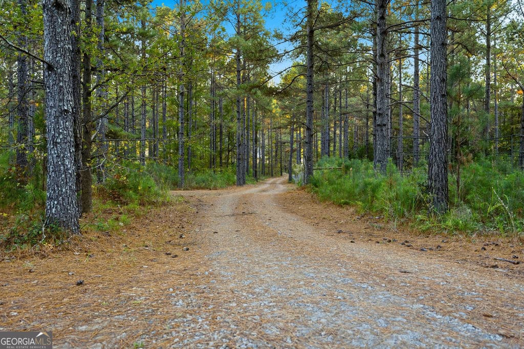 3 bedroom, 2 bathroom, 2,158 sq ft single family residence for sale at 1907 Mountain Creek Church Road, Starr, SC 29684 — photo 7