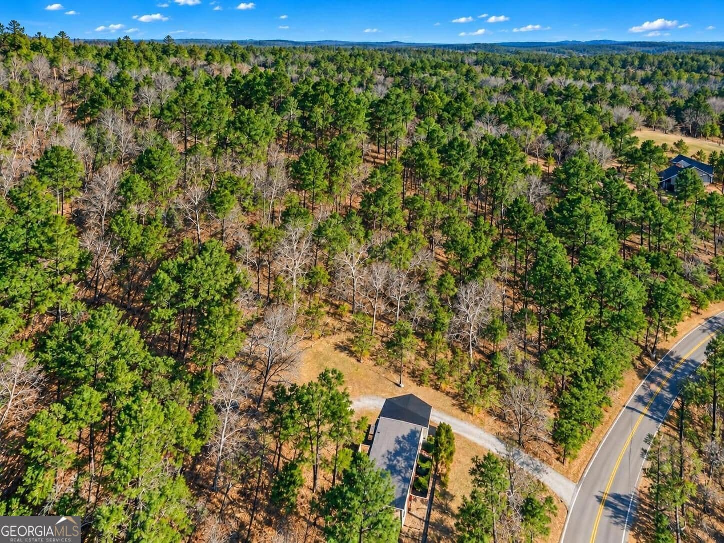 agriculture for sale at 0 Forest Hill Drive, Eatonton, GA 31024 — photo 2