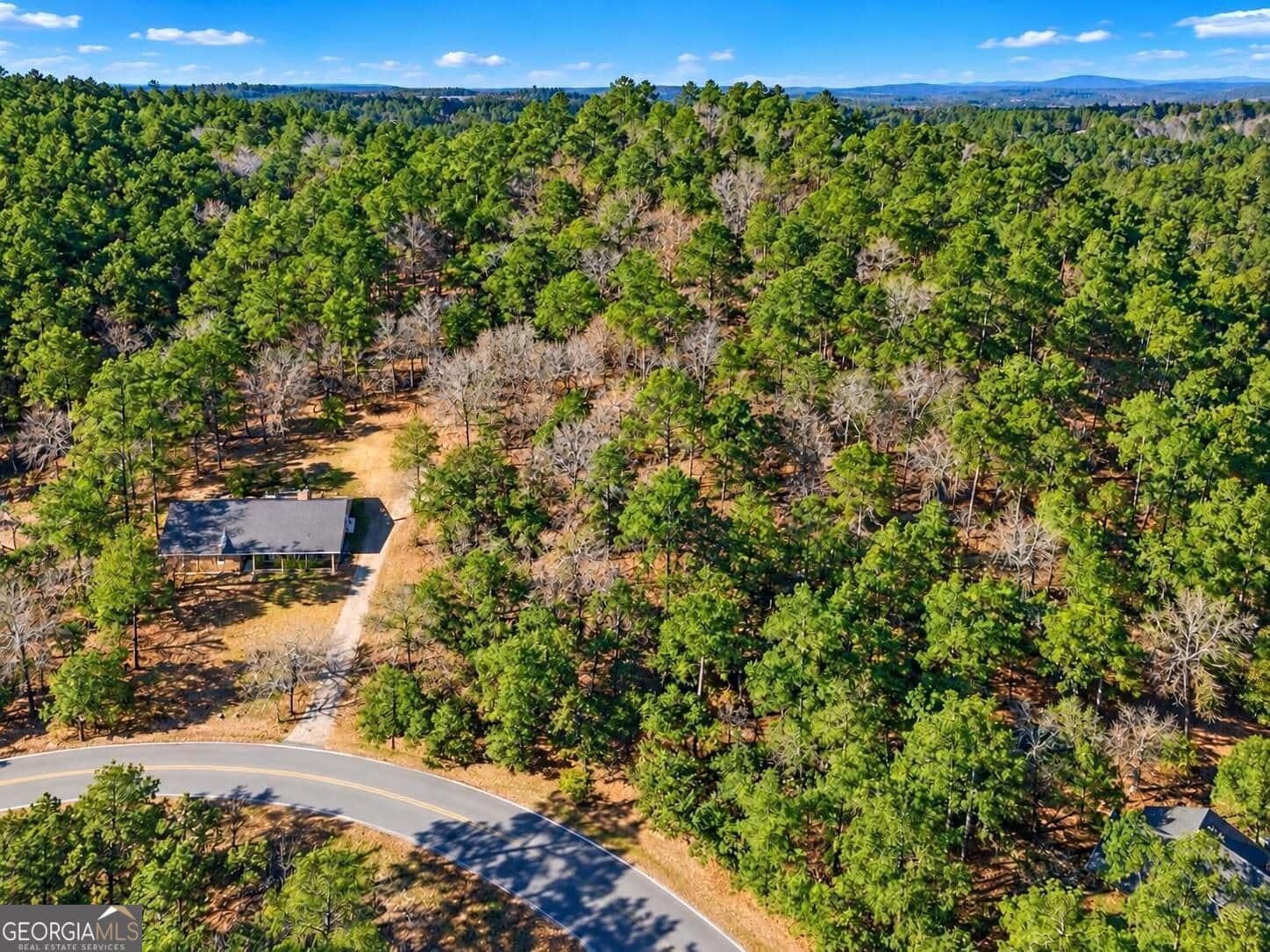 agriculture for sale at 0 Forest Hill Drive, Eatonton, GA 31024 — photo 6