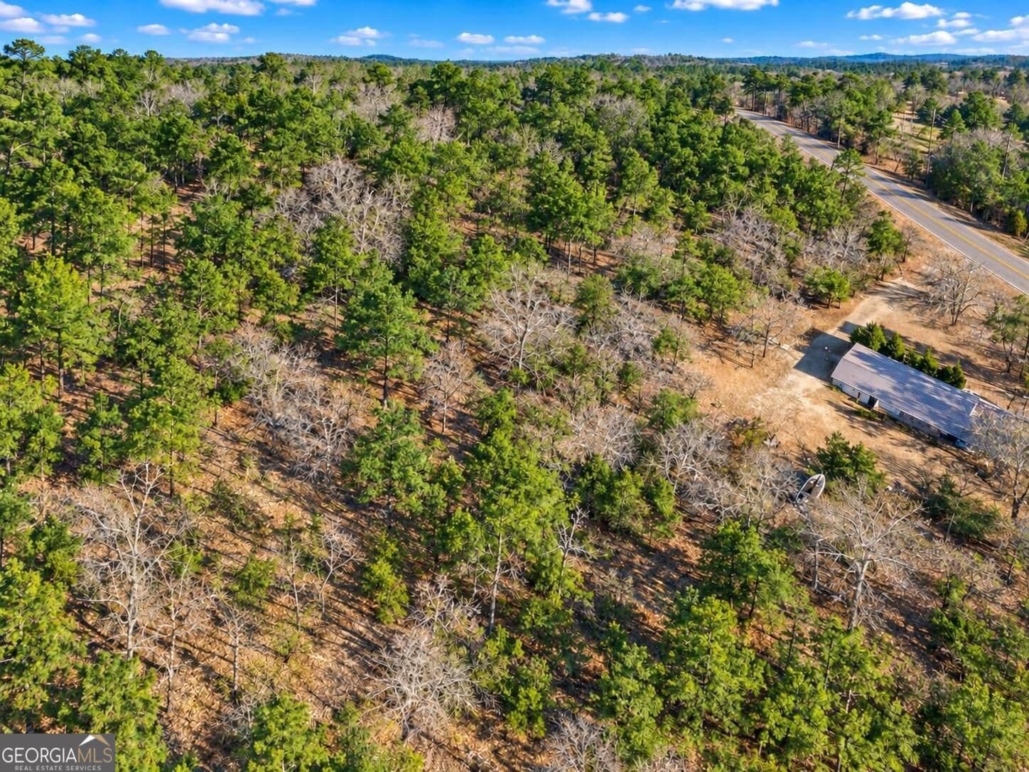 agriculture for sale at 0 Forest Hill Drive, Eatonton, GA 31024 — photo 3