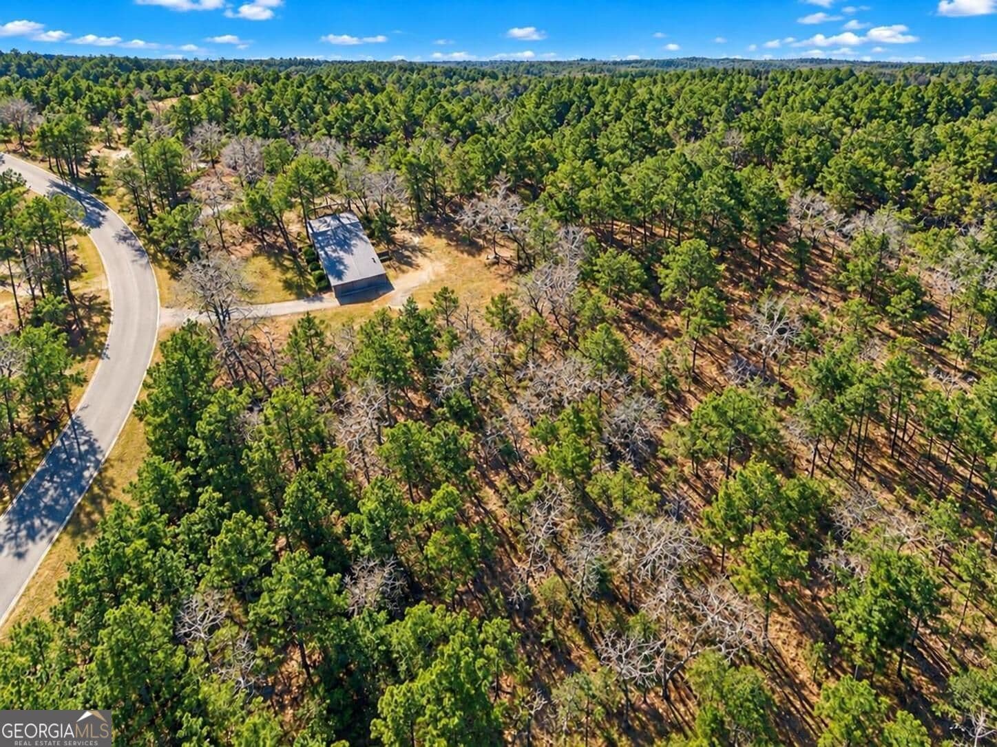 agriculture for sale at 0 Forest Hill Drive, Eatonton, GA 31024 — photo 5
