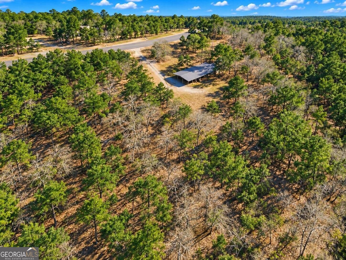 agriculture for sale at 0 Forest Hill Drive, Eatonton, GA 31024 — photo 4