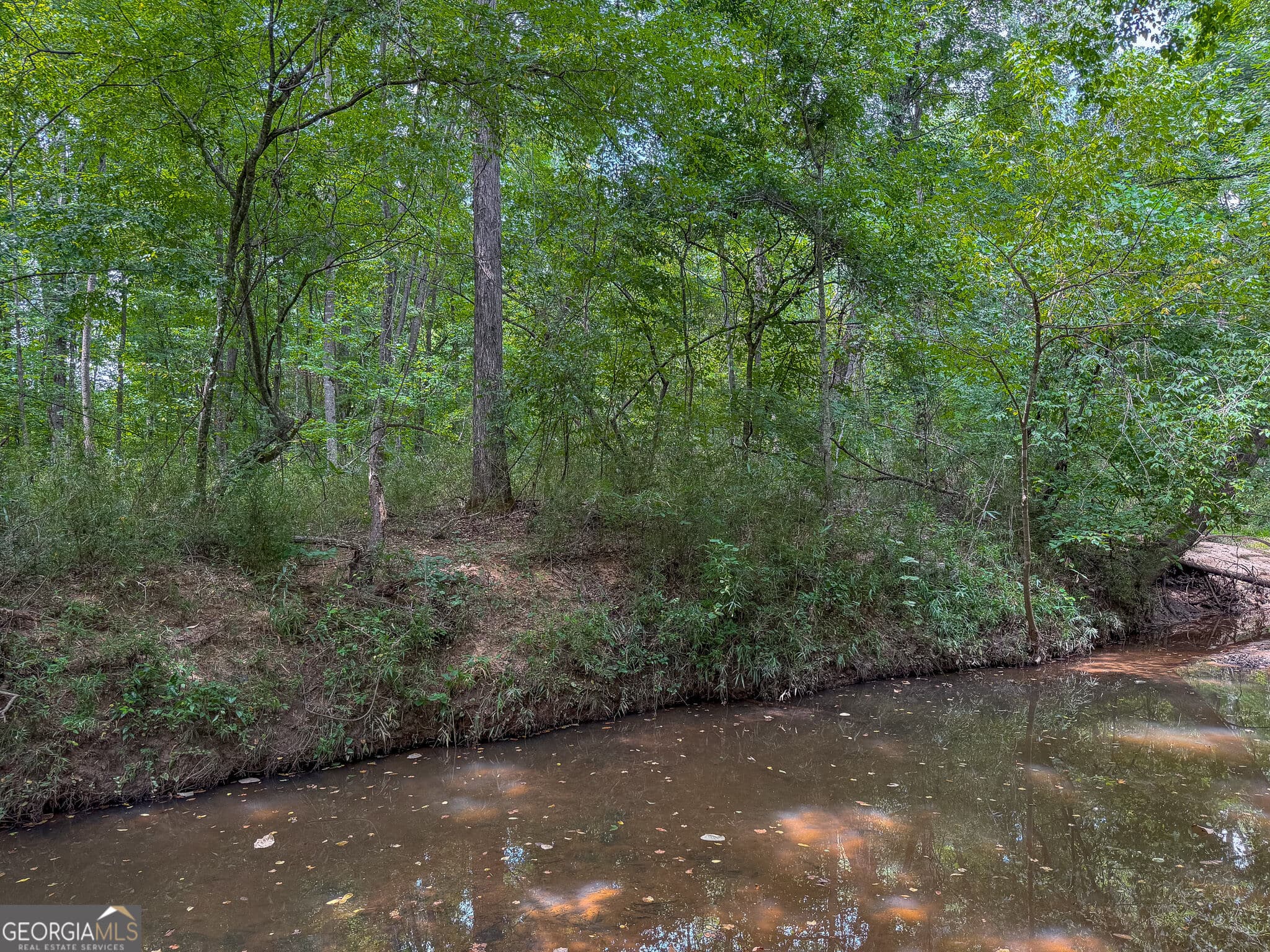 residential lot for sale at 0 River Oak Drive, Eatonton, GA 31024 — photo 6