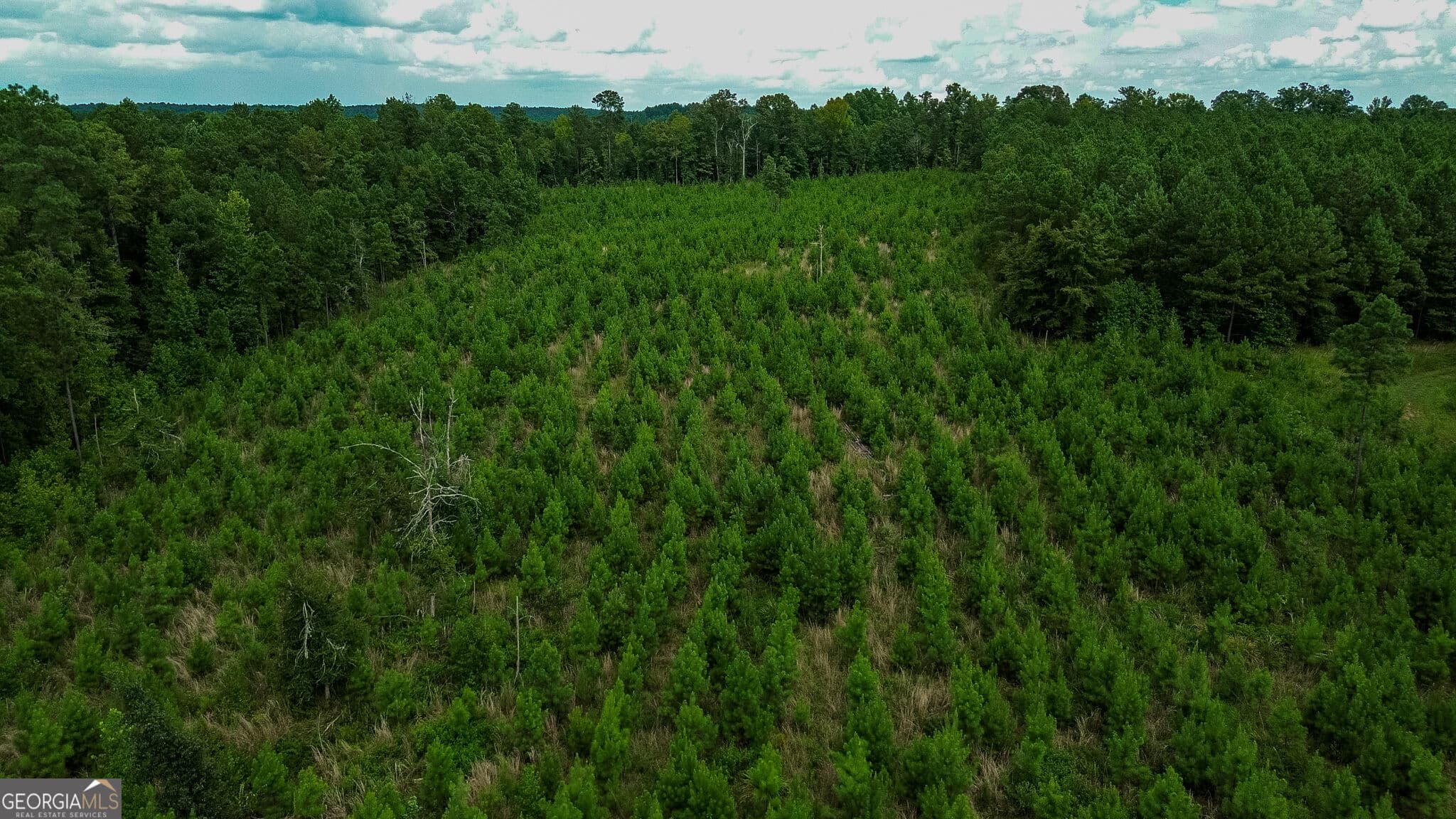 residential lot for sale at 0 River Oak Drive, Eatonton, GA 31024 — photo 3