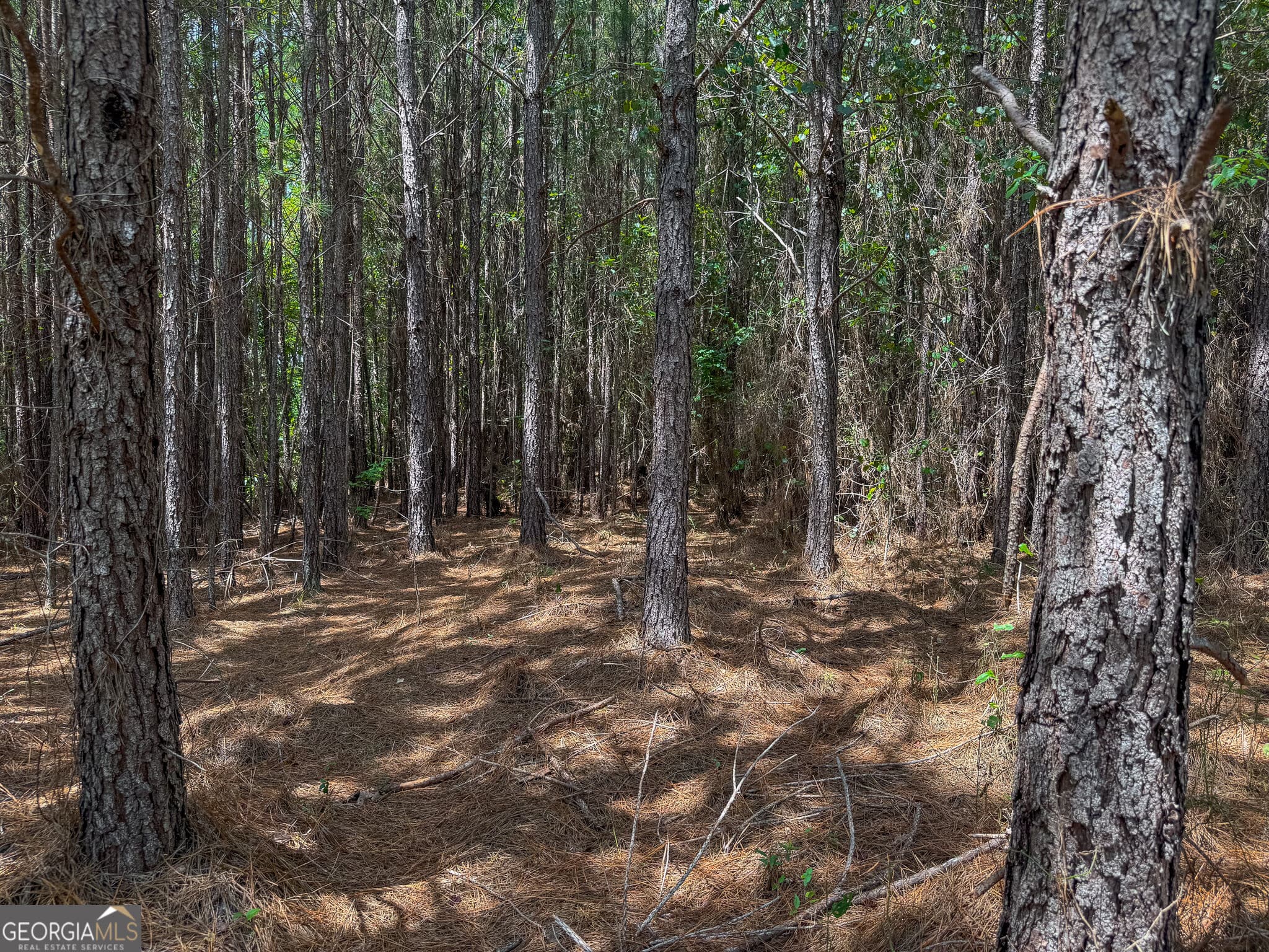 residential lot for sale at 0 River Oak Drive, Eatonton, GA 31024 — photo 5