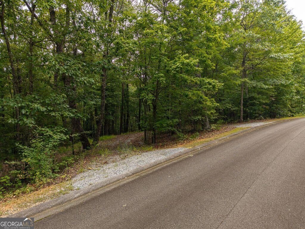 residential lot for sale at 0 Abbott Mill Road, Ellijay, GA 30540 — photo 2