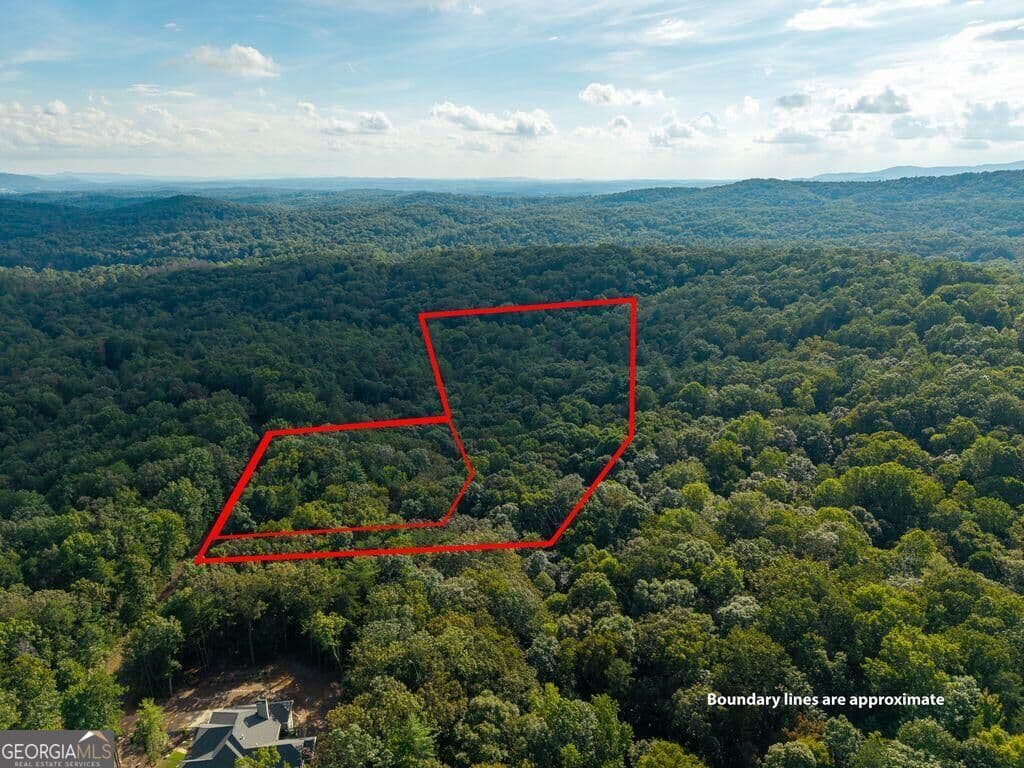 residential lot for sale at 0 Abbott Mill Road, Ellijay, GA 30540 — photo 6