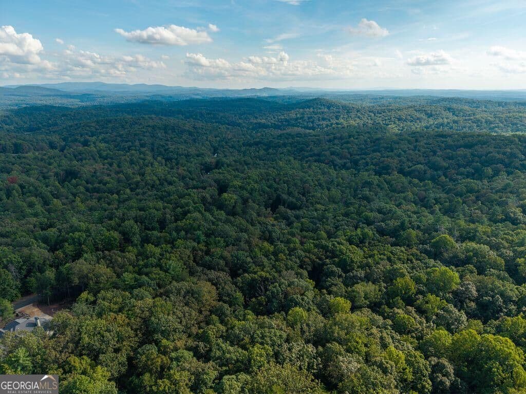 residential lot for sale at 0 Abbott Mill Road, Ellijay, GA 30540 — photo 7