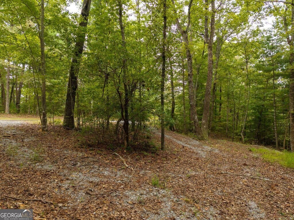 residential lot for sale at 0 Abbott Mill Road, Ellijay, GA 30540 — photo 3