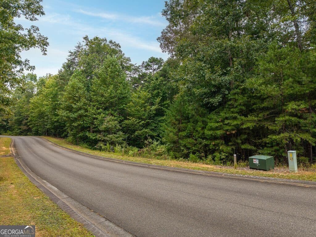 residential lot for sale at 0 Abbott Mill Road, Ellijay, GA 30540 — photo 5
