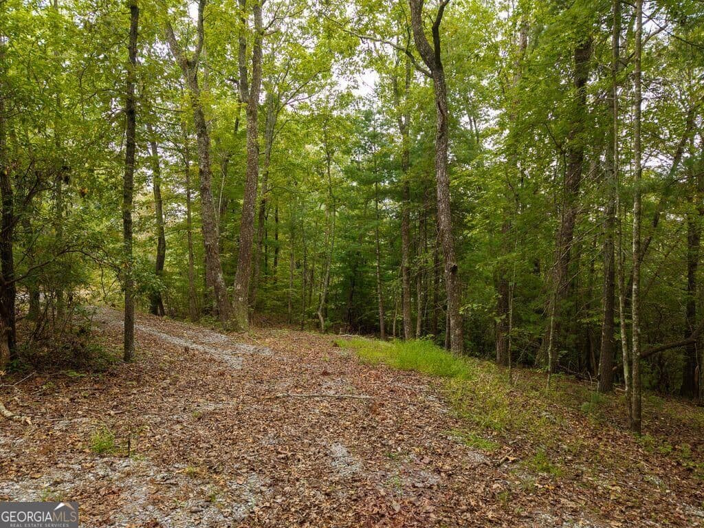 residential lot for sale at 0 Abbott Mill Road, Ellijay, GA 30540 — photo 9