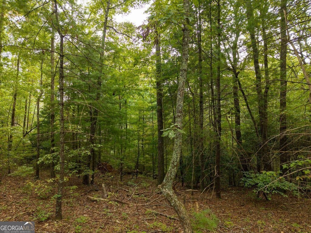 residential lot for sale at 0 Abbott Mill Road, Ellijay, GA 30540 — photo 10