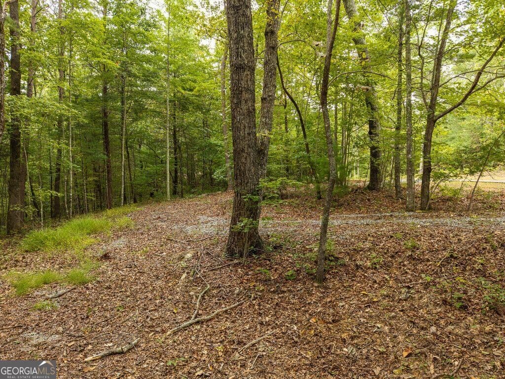residential lot for sale at 0 Abbott Mill Road, Ellijay, GA 30540 — photo 4