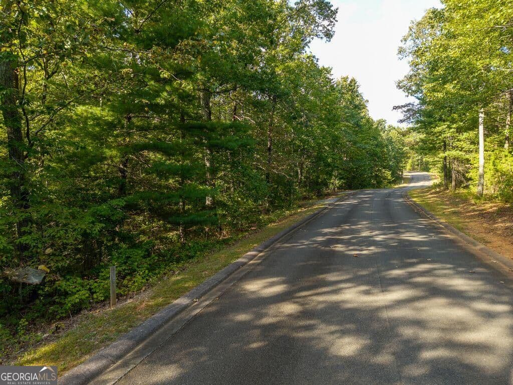 residential lot for sale at 0 Abbott Mill Road, Ellijay, GA 30540 — photo 8
