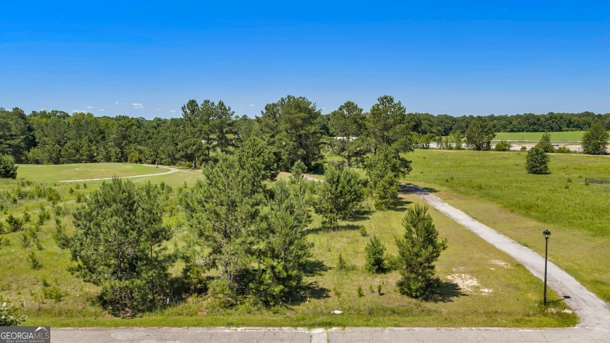 residential lot for sale at LOT 46 Lochridge Way, Cordele, GA 31015 — photo 7