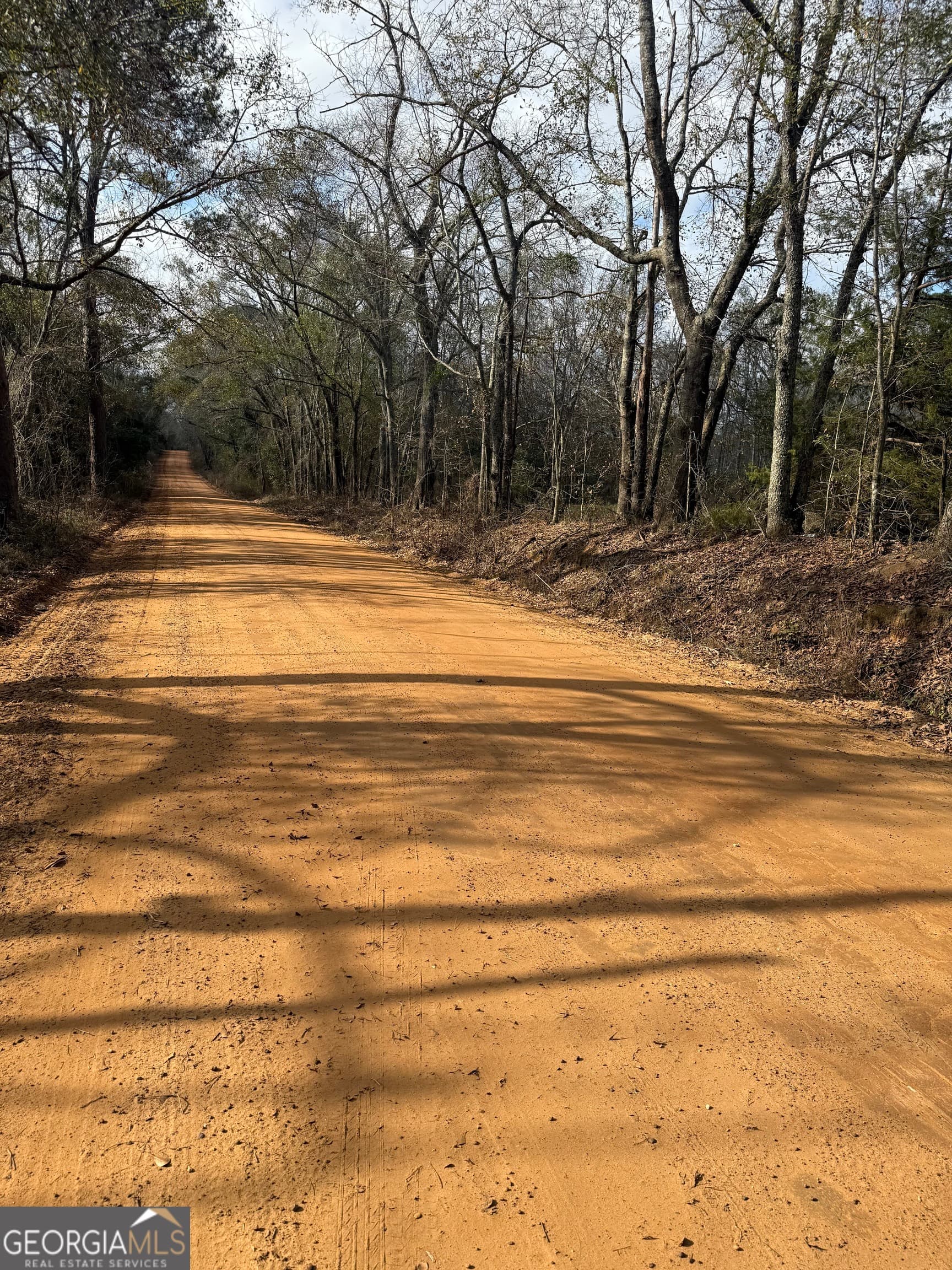 agriculture for sale at 0 George Moore Road, Statesboro, GA 30461 — photo 2