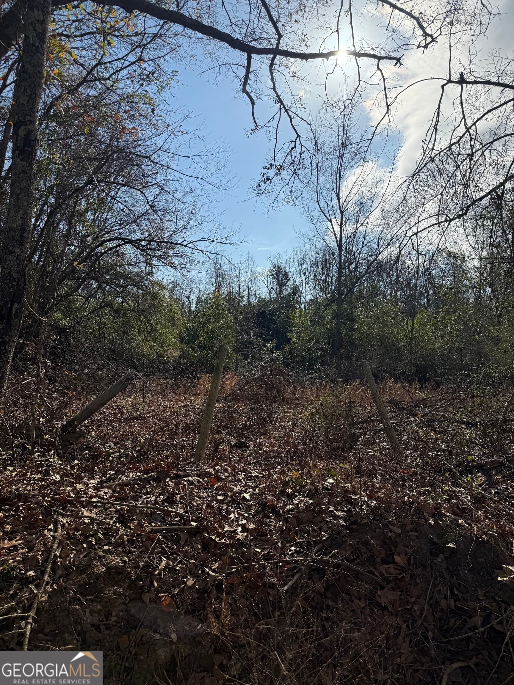 agriculture for sale at 0 George Moore Road, Statesboro, GA 30461 — photo 3