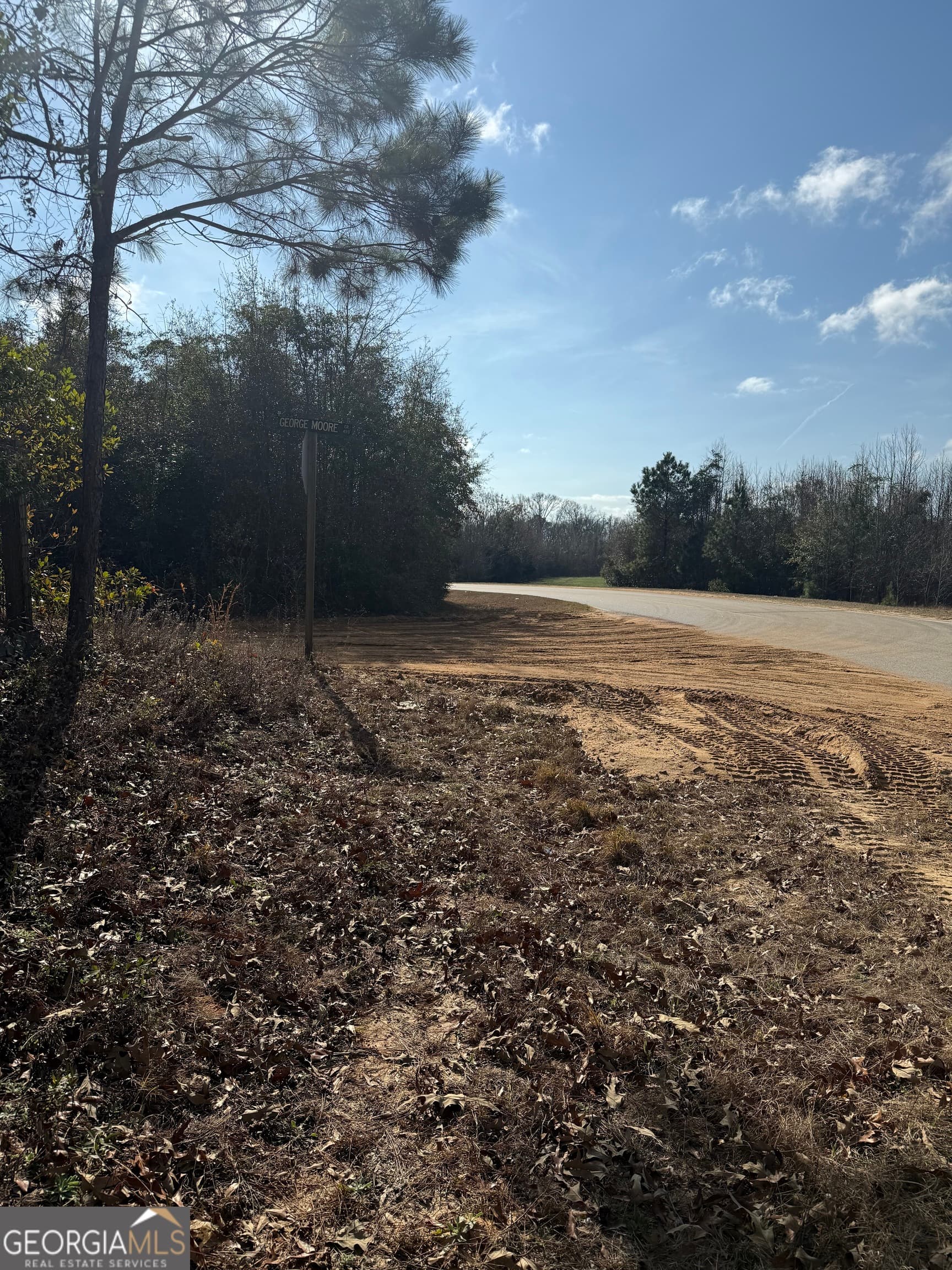 agriculture for sale at 0 George Moore Road, Statesboro, GA 30461