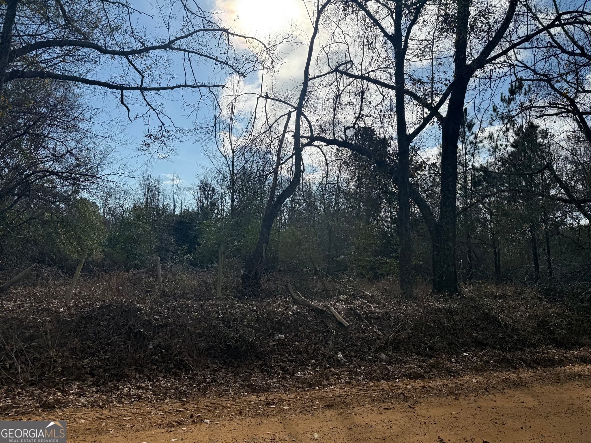 agriculture for sale at 0 George Moore Road, Statesboro, GA 30461 — photo 4