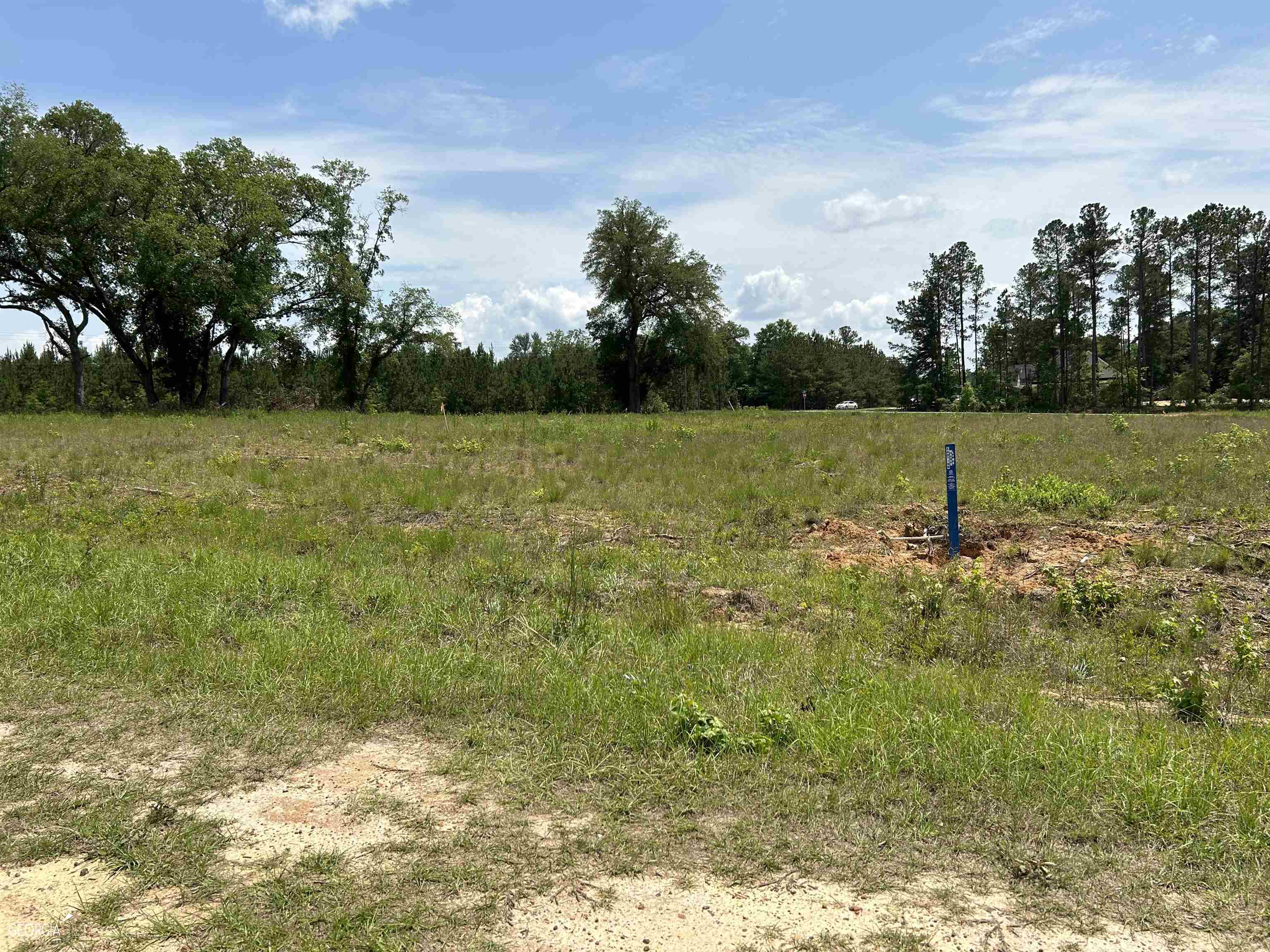 0 Hollingsworth Drive LOT 5, Sylvania, GA 30467 — most recent listing photo