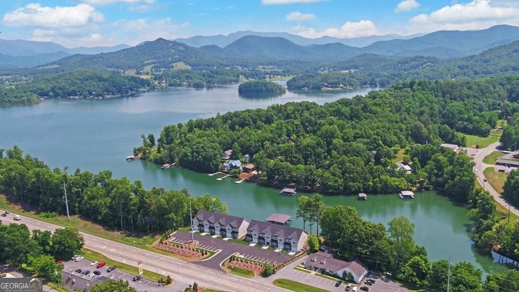 4 bedroom, 4.5 bathroom, 3,797 sq ft townhouse for sale at 778-A Main Street, Hiawassee, GA 30546 — photo 2