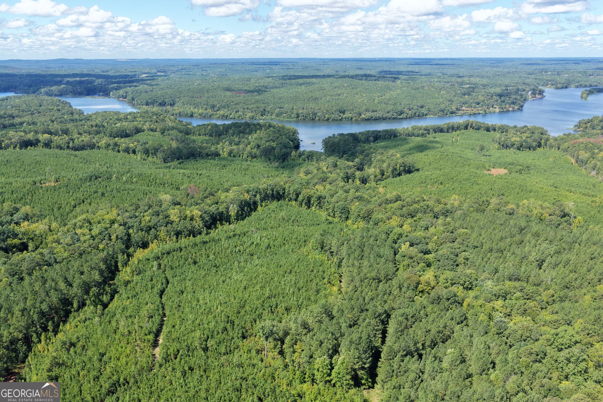 unimproved land for sale at 211.44 AC Quail Hollow Drive, Hamilton, GA 31811 — photo 2