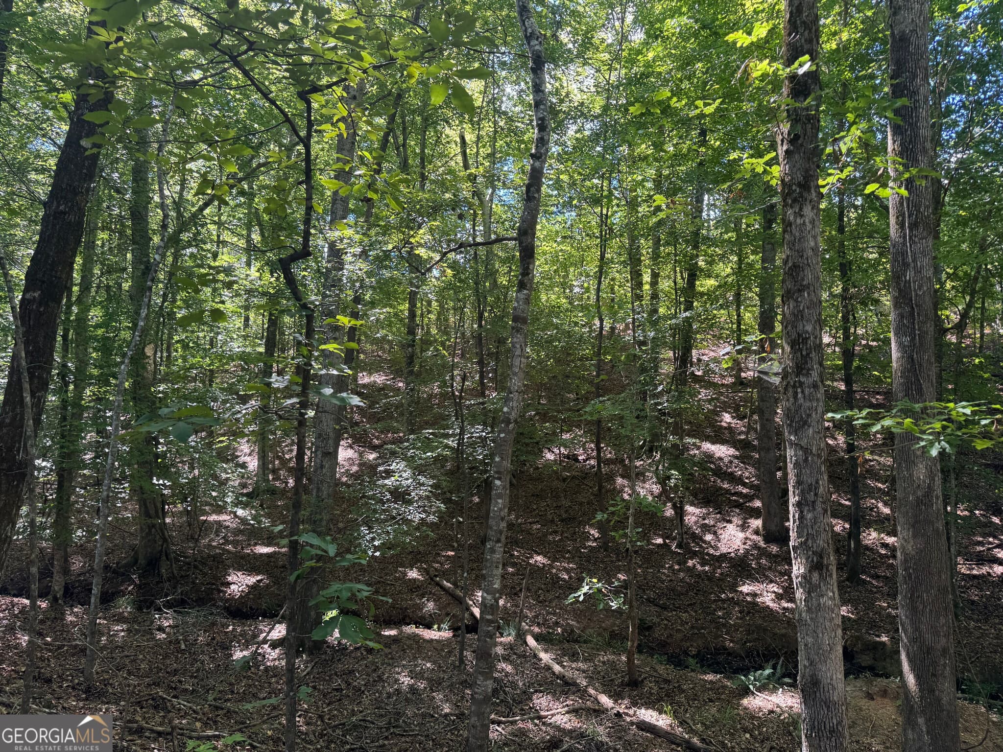 unimproved land for sale at 211.44 AC Quail Hollow Drive, Hamilton, GA 31811 — photo 7