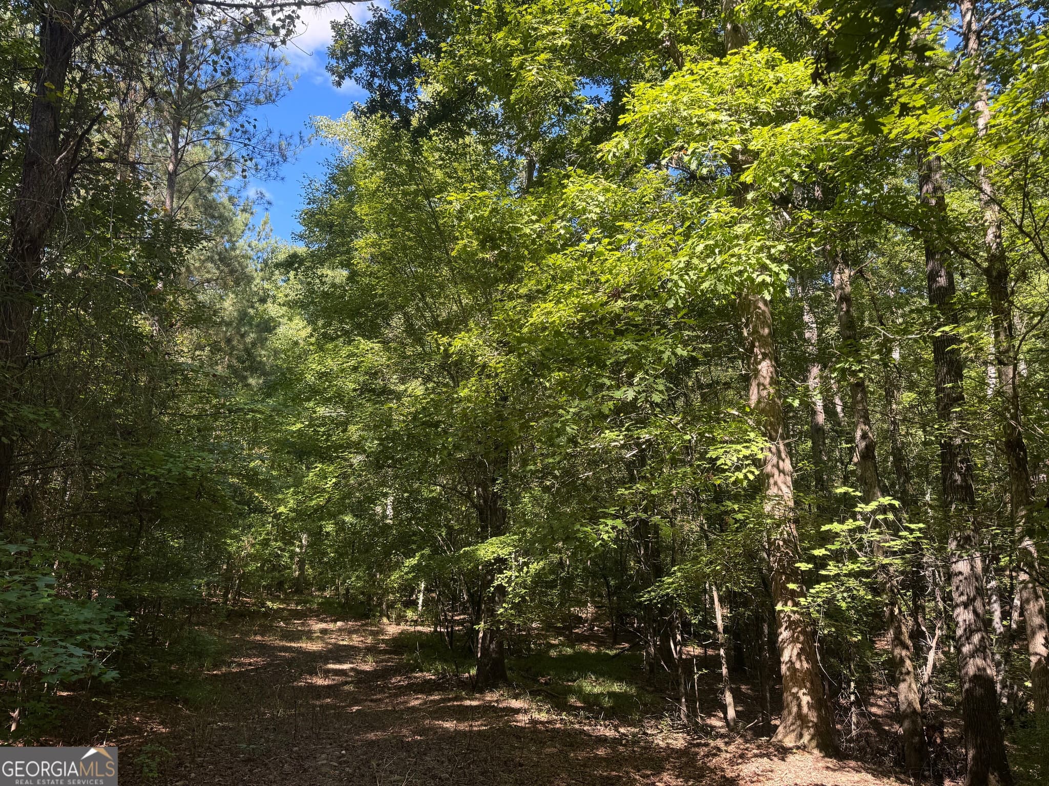 unimproved land for sale at 211.44 AC Quail Hollow Drive, Hamilton, GA 31811 — photo 5