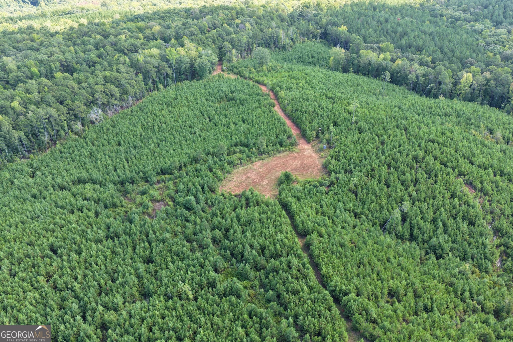 unimproved land for sale at 211.44 AC Quail Hollow Drive, Hamilton, GA 31811 — photo 10