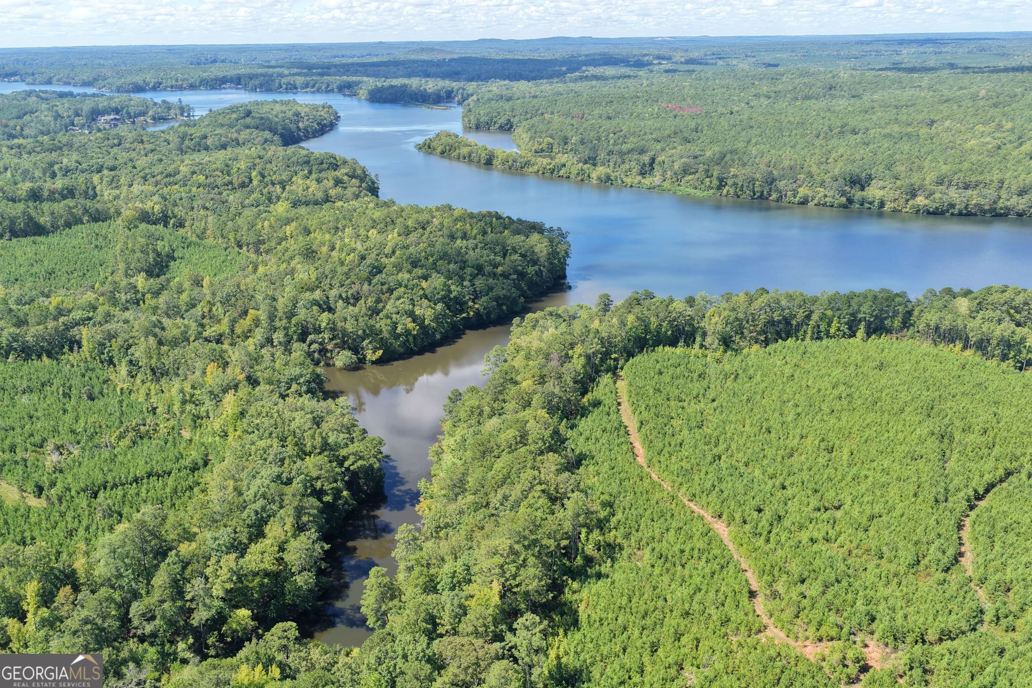 unimproved land for sale at 211.44 AC Quail Hollow Drive, Hamilton, GA 31811 — photo 4