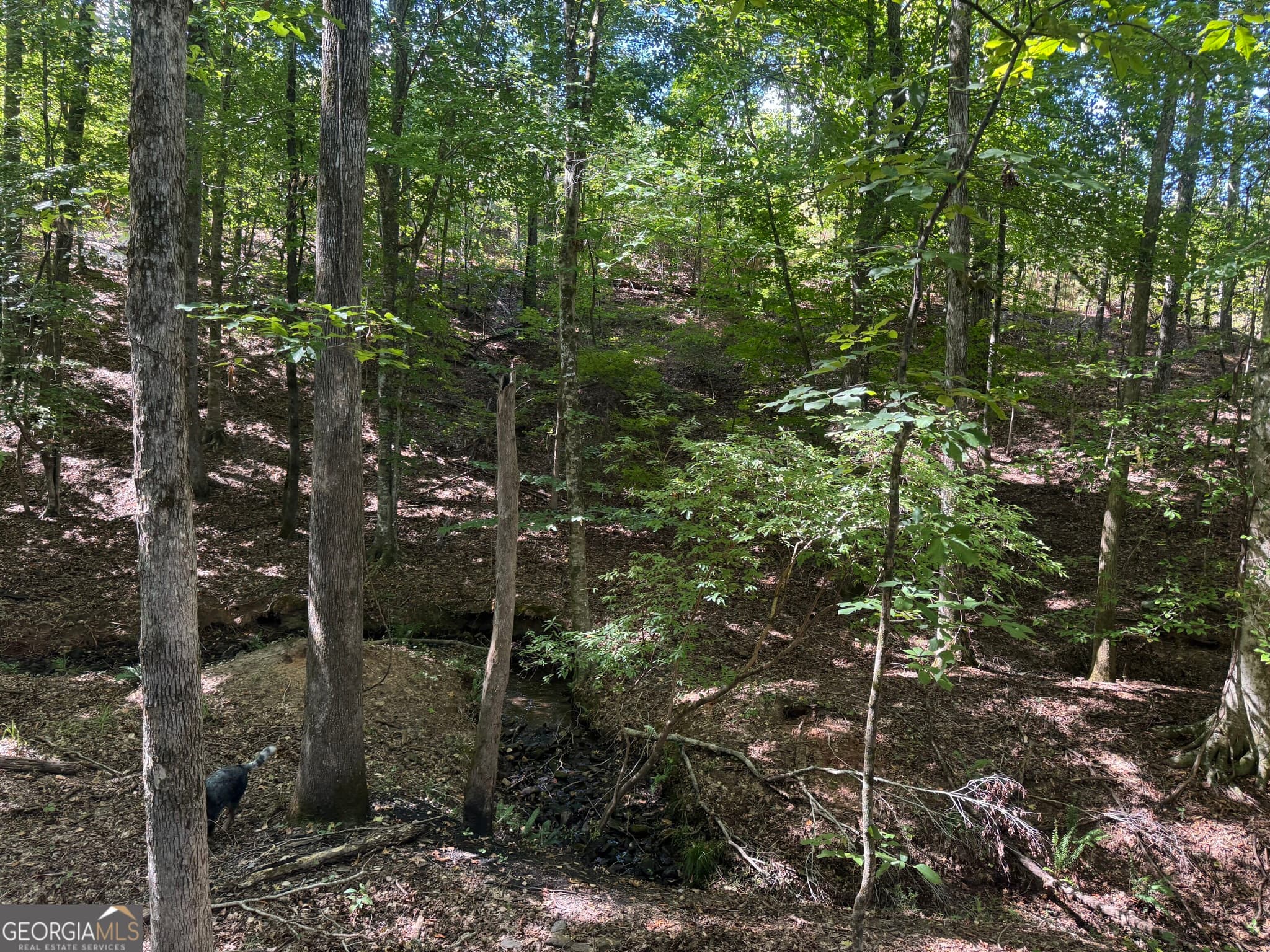 unimproved land for sale at 211.44 AC Quail Hollow Drive, Hamilton, GA 31811 — photo 8