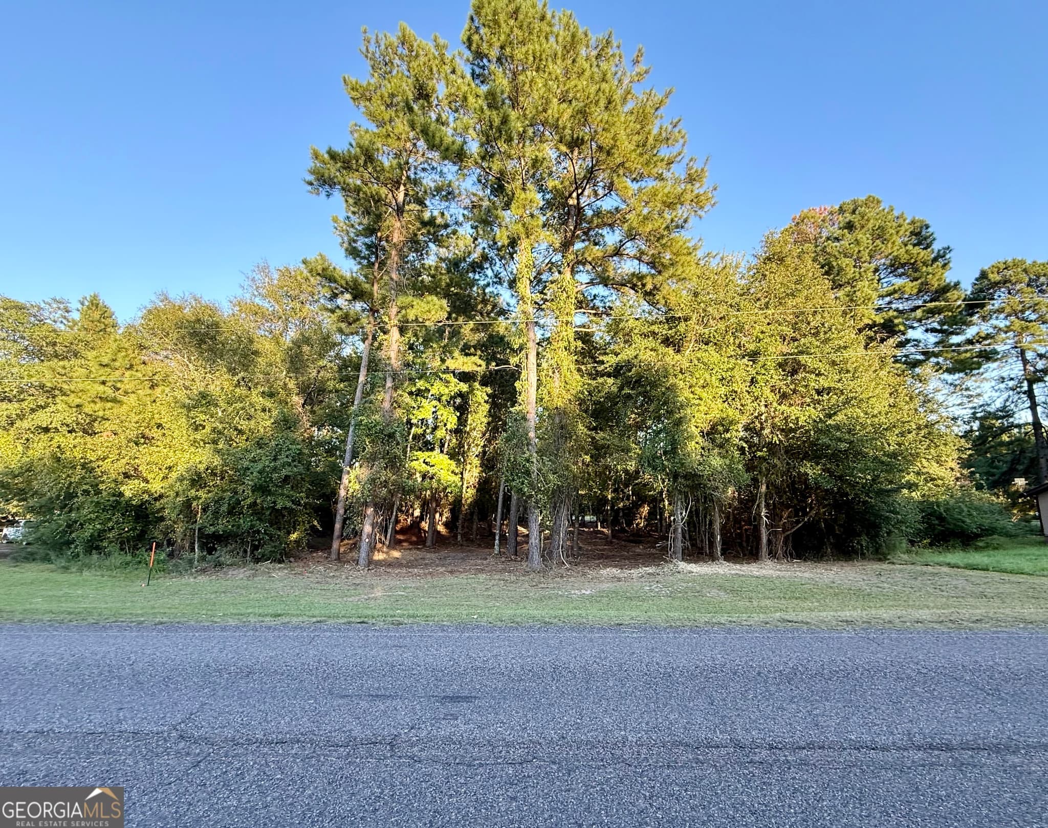 residential lot for sale at 0 Friendship Road, Sylvania, GA 30467 — photo 2